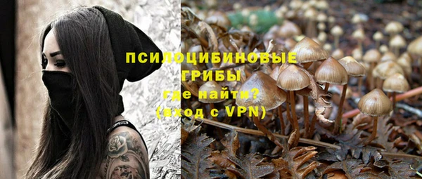 2c-b Белоозёрский