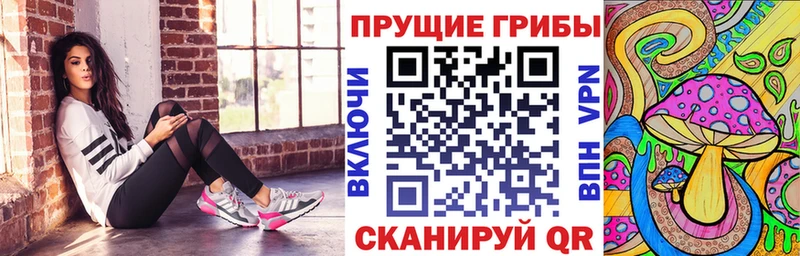 дарнет шоп  Полесск  Псилоцибиновые грибы мицелий 